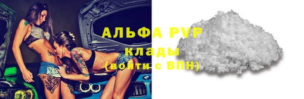 прущие грибы Краснослободск
